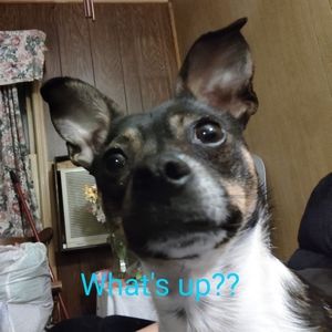 Meet your Posher, Teresa